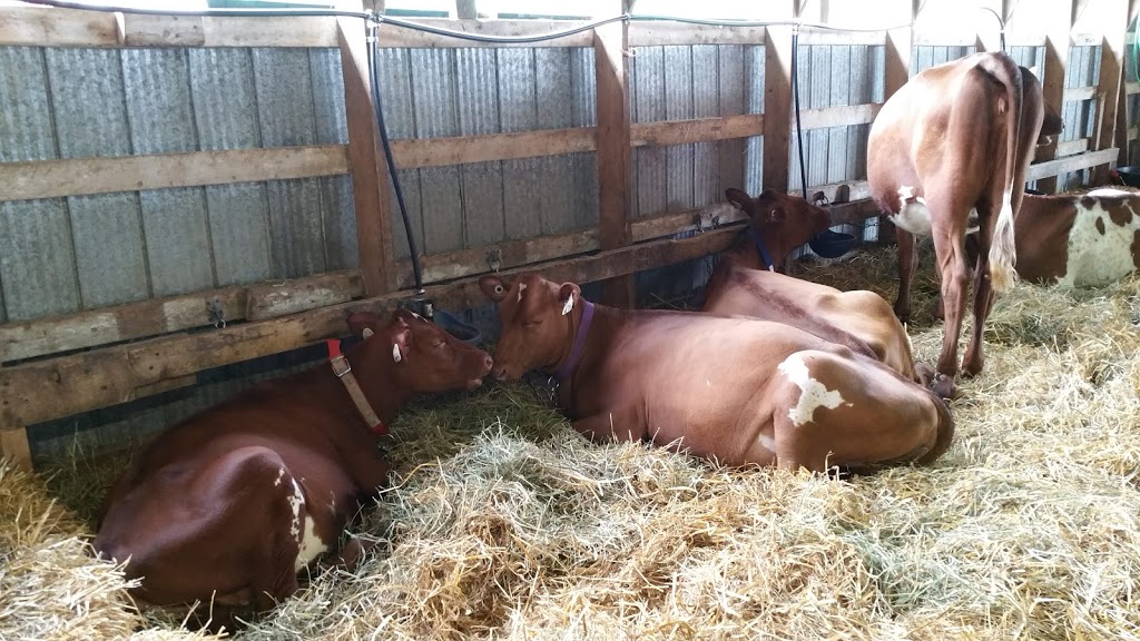 Exposition agricole Cookshire | 580 QC-108, Cookshire-Eaton, QC J0B 1M0, Canada | Phone: (819) 875-3771