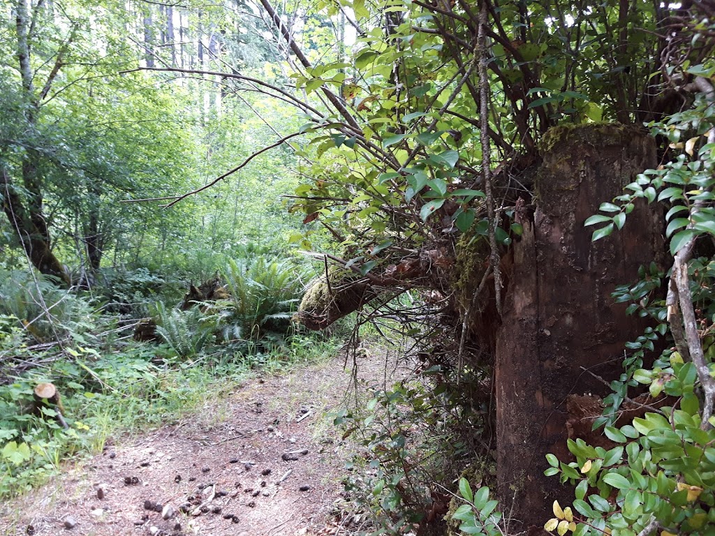Alberni Inlet Trailhead | British Columbia V0R 1G0, Canada | Phone: (250) 723-2146