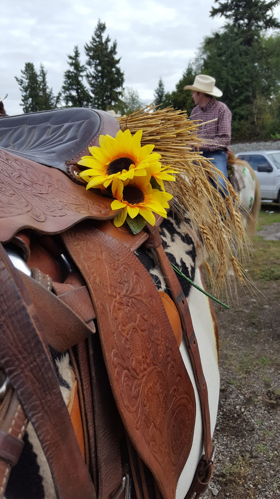 Country West Supply | 3155 Pleasant Valley Rd, Armstrong, BC V0E 1B2, Canada | Phone: (250) 546-9174