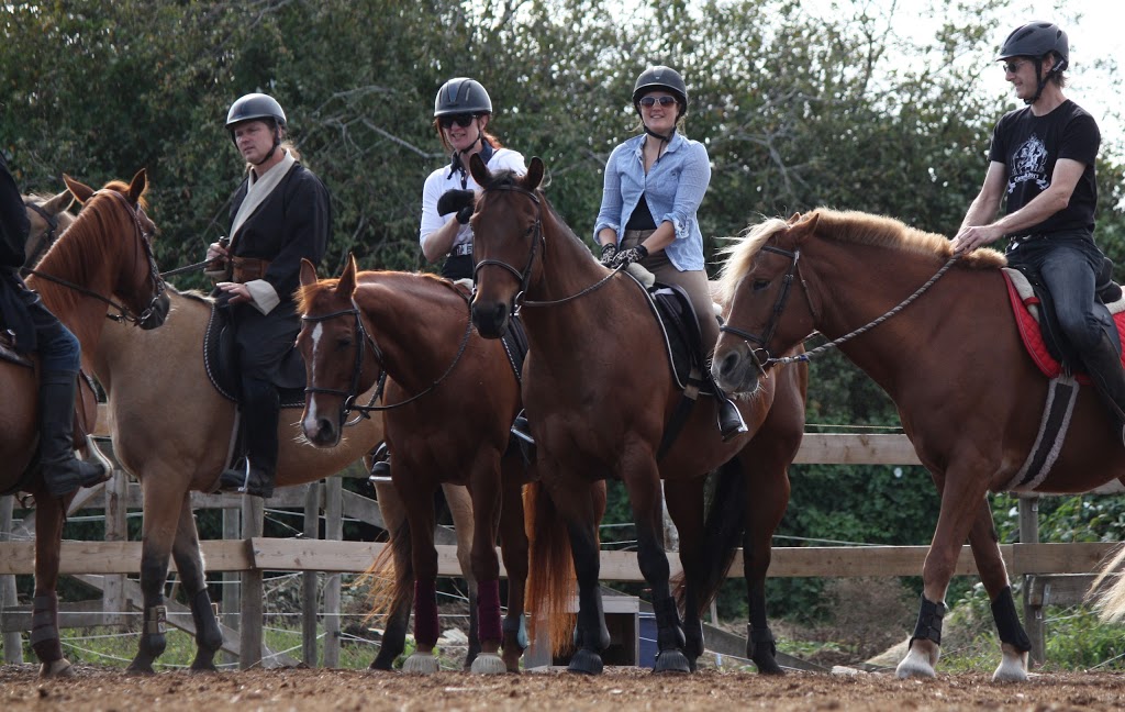 Red Colt Equestrian Farm Co-op | 12320 No 2 Rd, Richmond, BC V7E 2G1, Canada | Phone: (778) 772-3553