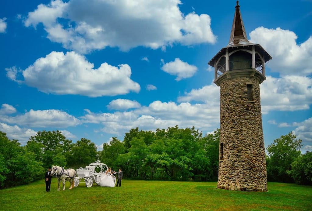 Fairytale Horse and Carriage | 473262 Dufferin County Road 11, Laurel, ON L0N 1L0, Canada | Phone: (416) 737-2860