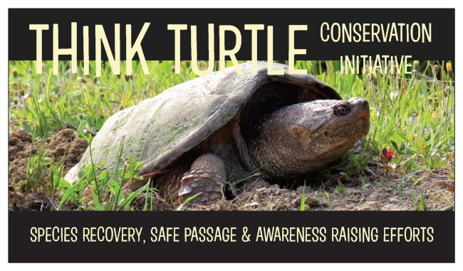 Think Turtle Conservation Initiative | 29 Bay Lake Rd, LAmable, ON K0L 2L0, Canada | Phone: (647) 606-9537