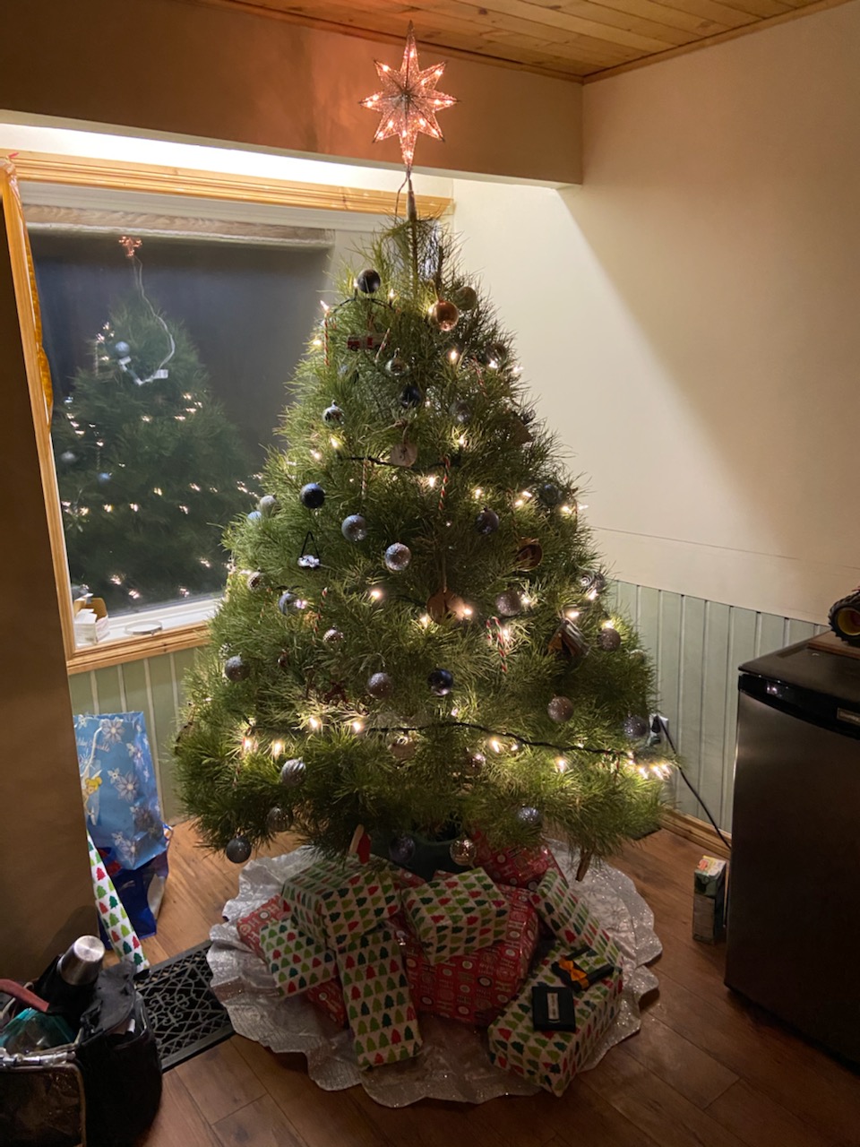 Hill Haven Christmas Trees | Jackson Lake Provincial Rd. 352 South East on Rural Rd. 59 North Gate number 58142 NE28, 10 12W, Sidney, MB R0H 1L0, Canada | Phone: (204) 466-2654