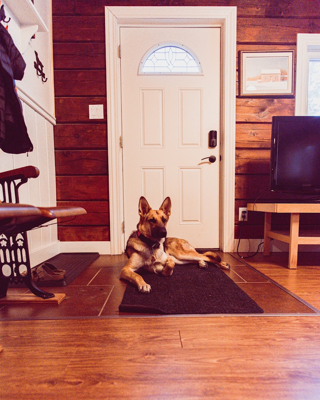 Taigh Glen Cabin | 4073 Chetwynd Rd, Kearney, ON P0A 1M0, Canada | Phone: (519) 217-2257