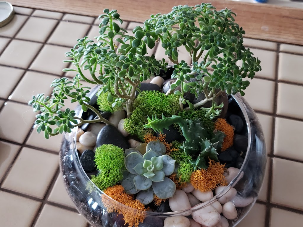 Gems Plant Design | 445 Rougeau Ave, Winnipeg, MB R2C 2Z6, Canada | Phone: (204) 227-2560