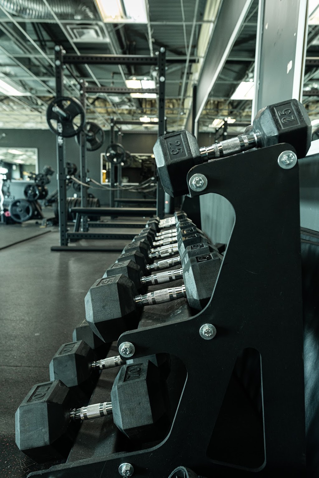 Goldszn Training | 4800 Rue René-Émard, Montréal, QC H9A 2Y1, Canada | Phone: (438) 244-2505