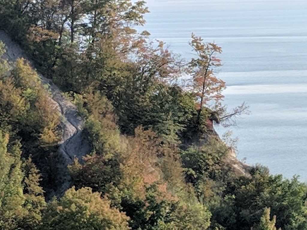 Sunnypoint - Neilson Park | 55 Sunnypoint Crescent, Scarborough, ON M1M 1B9, Canada | Phone: (416) 392-2489