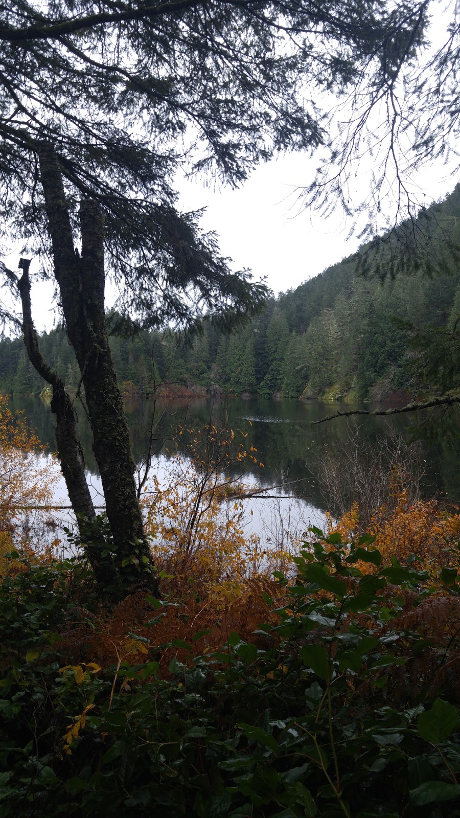 Roche Cove Regional Park - Parking Lot | Galloping Goose Trail, Juan de Fuca, BC V9Z 0Z3, Canada | Phone: (250) 478-3344
