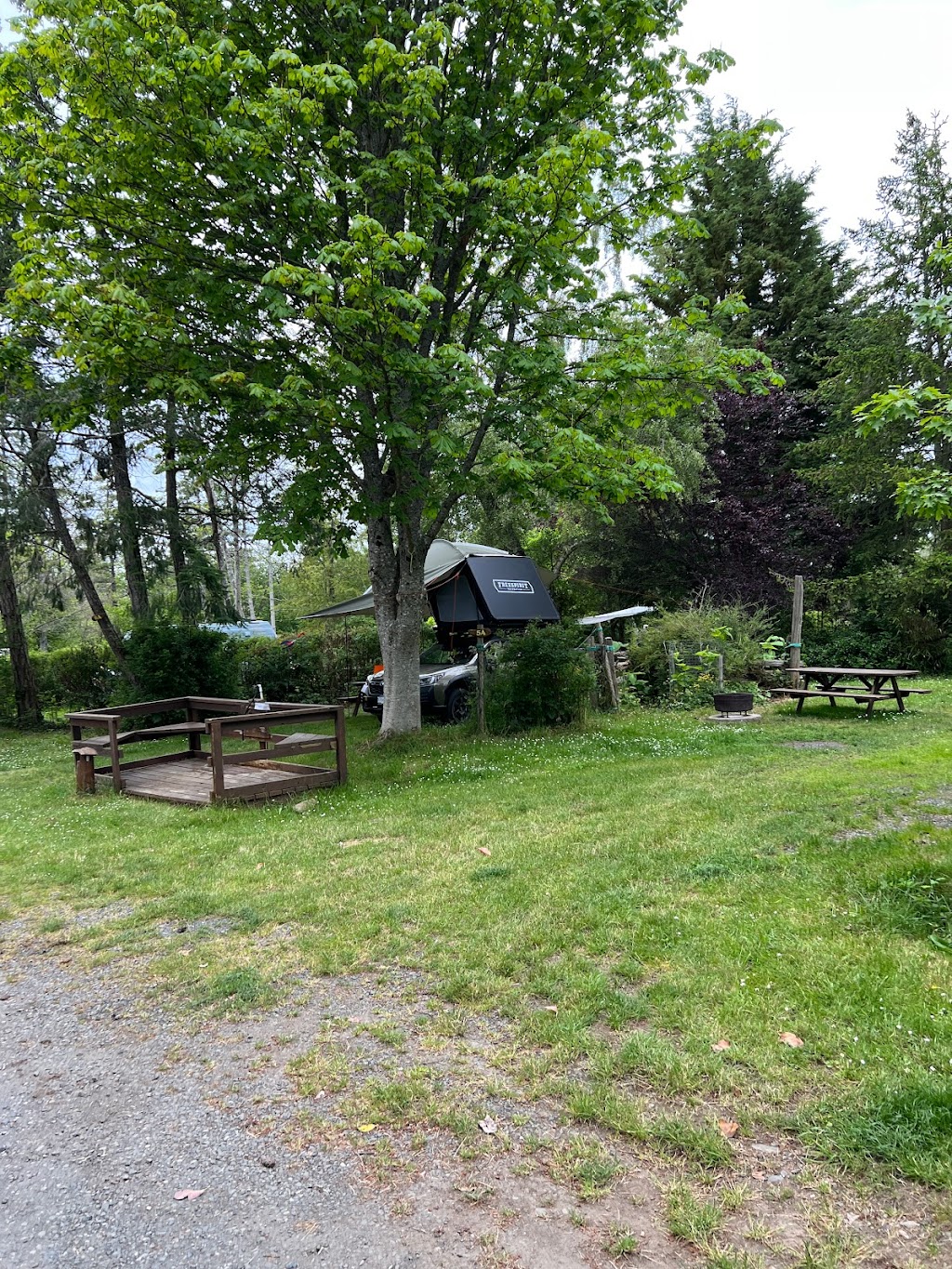 Bradsdadsland Campsite | 2105 Shingle Spit Rd, Hornby Island, BC V0R 1Z0, Canada | Phone: (250) 335-0757