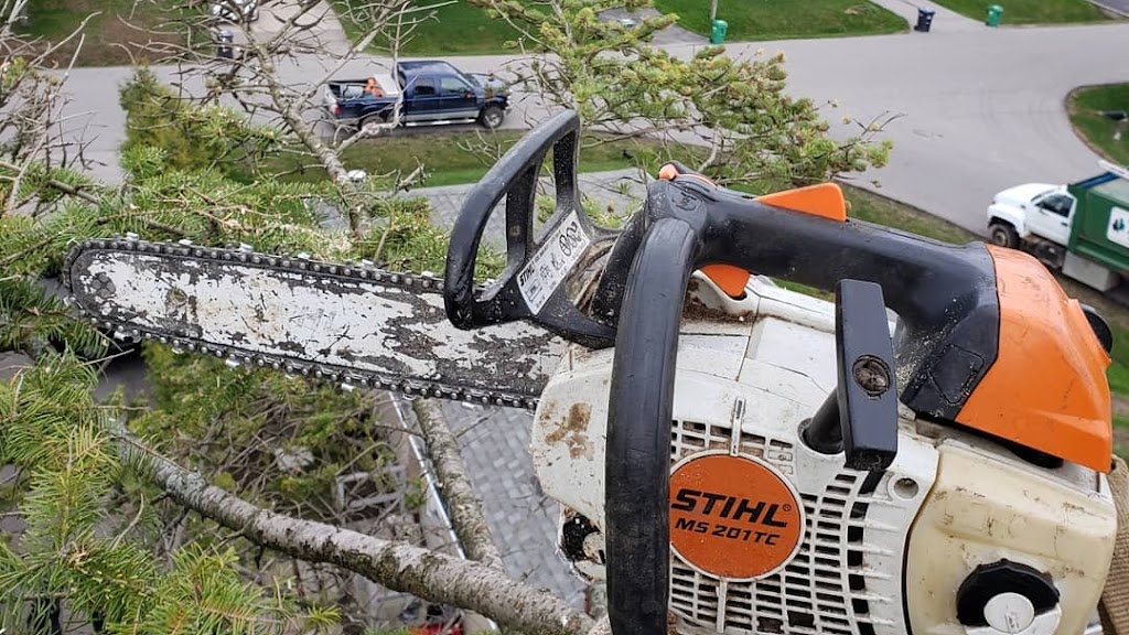 Branchbusters Expert Tree Care | 19625 Main St, Alton, ON L7K 0E1, Canada | Phone: (905) 859-4004