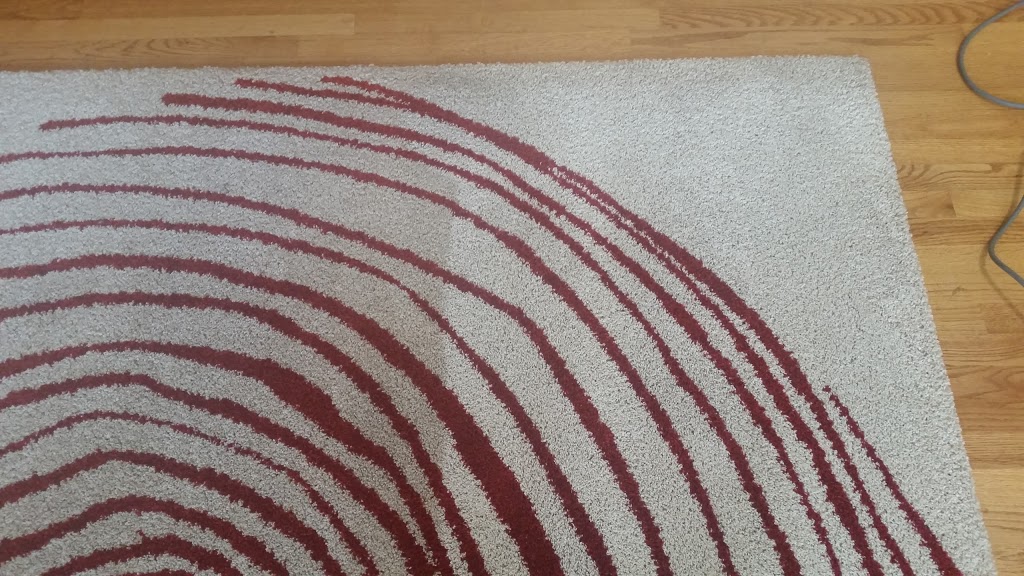 Citrus-O Carpet Care | 12049 86 Ave, Surrey, BC V3W 7X5, Canada | Phone: (855) 248-7875