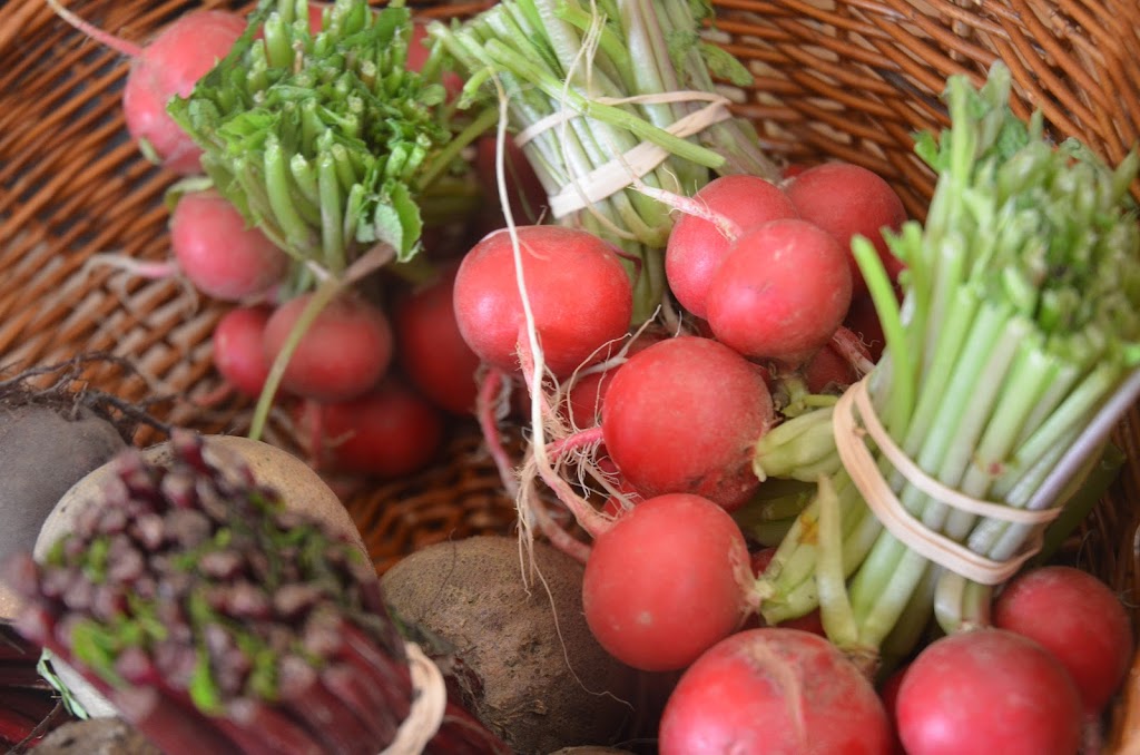 HappiLife Farm | 7702 Pemberton Meadows Rd, Pemberton, BC V0N 2L2, Canada | Phone: (604) 932-7844