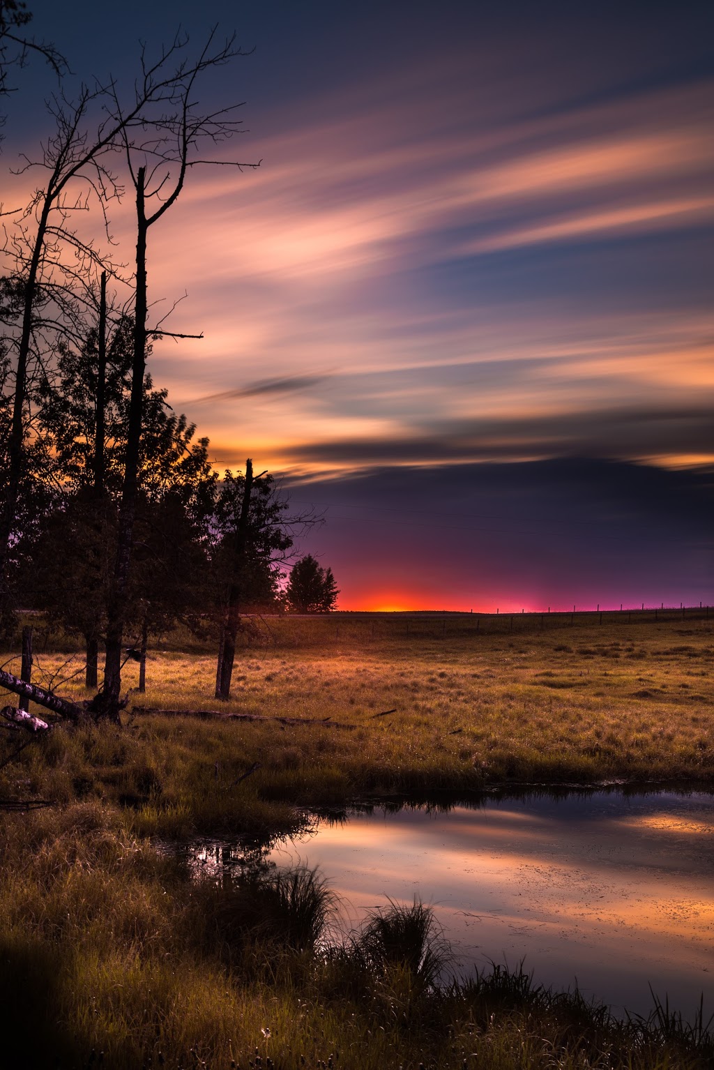 Jesse Martineau Photography and Videography | 68 Ventura St, Spruce Grove, AB T7X 4P6, Canada | Phone: (780) 937-4722