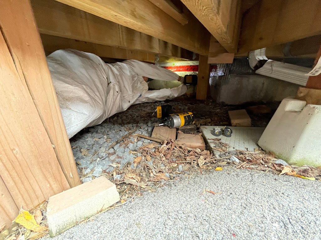 Solace Pest Solutions | 370 Herchimer Ave Unit 442, Belleville, ON K8N 4Z6, Canada | Phone: (613) 902-6333