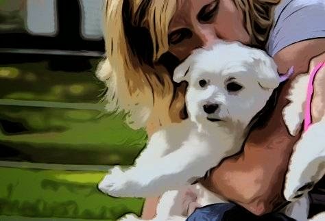 Art Au Poil | 1009 Grand Rang St François, Saint-Pie, QC J0H 1W0, Canada | Phone: (450) 772-6771