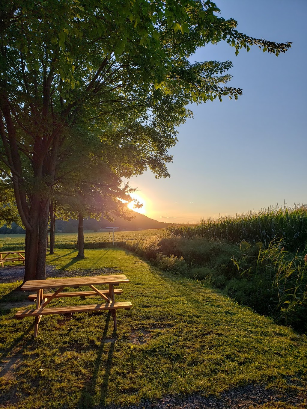 Camping Oasis | 974 1e Rang O, Sainte-Cécile-de-Milton, QC J0E 2C0, Canada | Phone: (450) 378-2181
