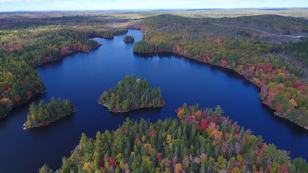 DragonFly Inspections and Aerial Photography | 24 Leverett Ave, Kentville, NS B4N 2K6, Canada | Phone: (902) 599-3414