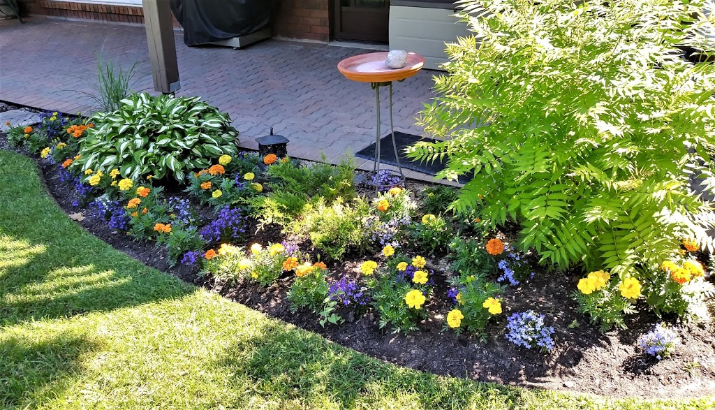 Alliston Garden Solutions | 22 Swenson St, Alliston, ON L9R 0J8, Canada | Phone: (705) 440-8636