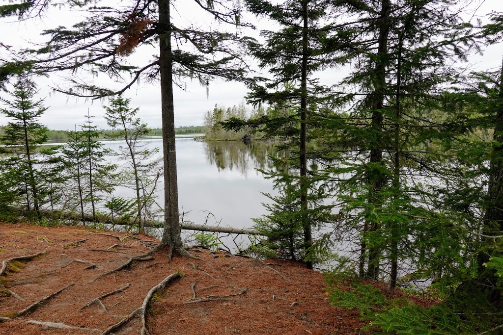 MacElmons Pond Provincial Park | 219 MacElmon Rd, Debert, NS B0M 1G0, Canada | Phone: (866) 230-1586
