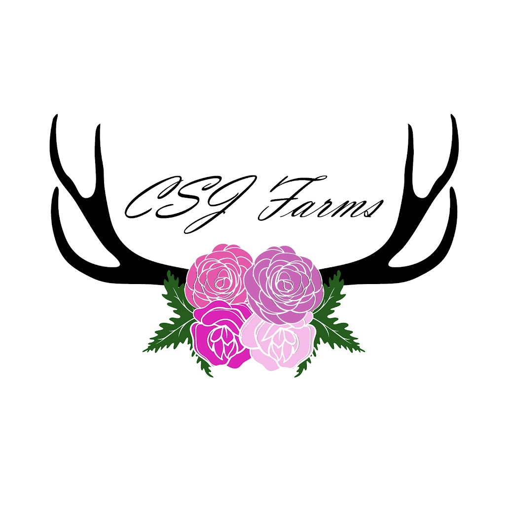 CSJ Farms | 3081 Rd. 77 North, Warren, MB R0C 3E0, Canada | Phone: (204) 808-2615