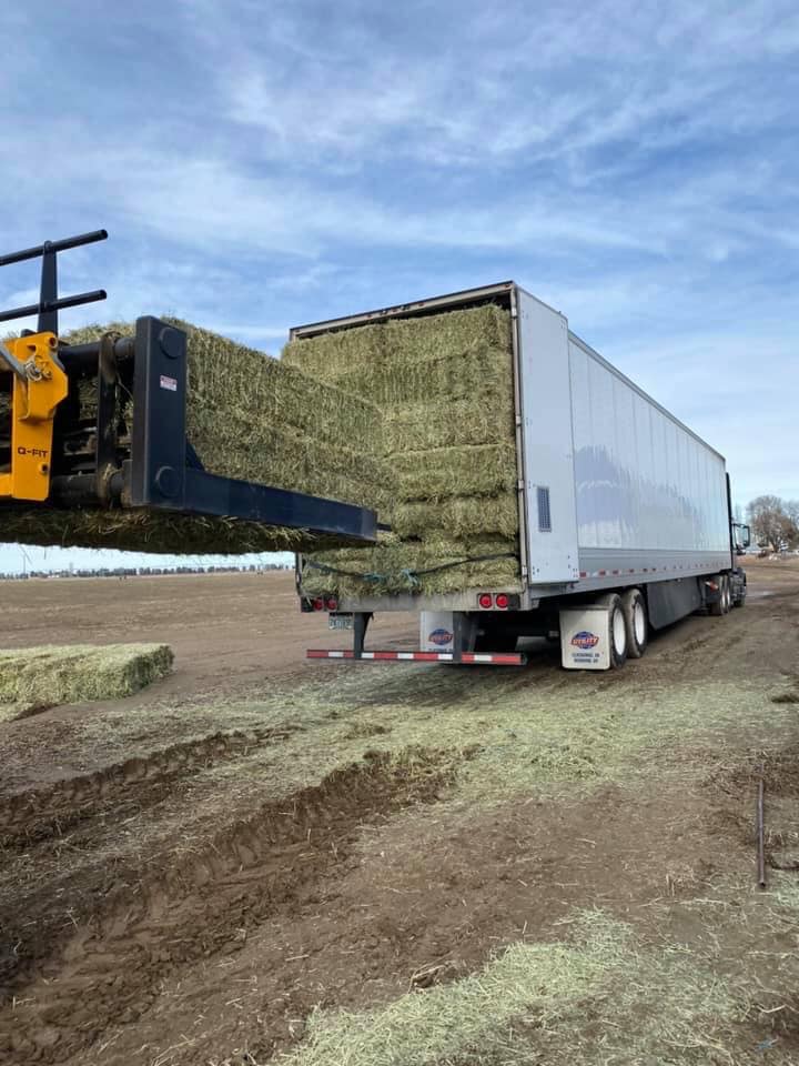 Goldfields Canada | Dust Extracted Straw & Bedding | 343 Main St unit 3, Schomberg, ON L0G 1T0, Canada | Phone: (905) 806-6114