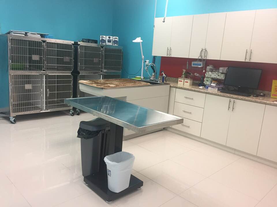 Kitchener Central Veterinary Hospital | 720 Westmount Rd E #6, Kitchener, ON N2E 2M6, Canada | Phone: (519) 570-0092