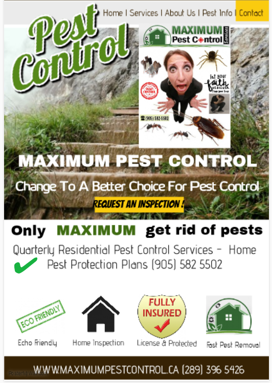 Maximum Pest Control Services | 1860 Appleby Line Suite 430, Burlington, ON L7L 7H7, Canada | Phone: (905) 582-5502