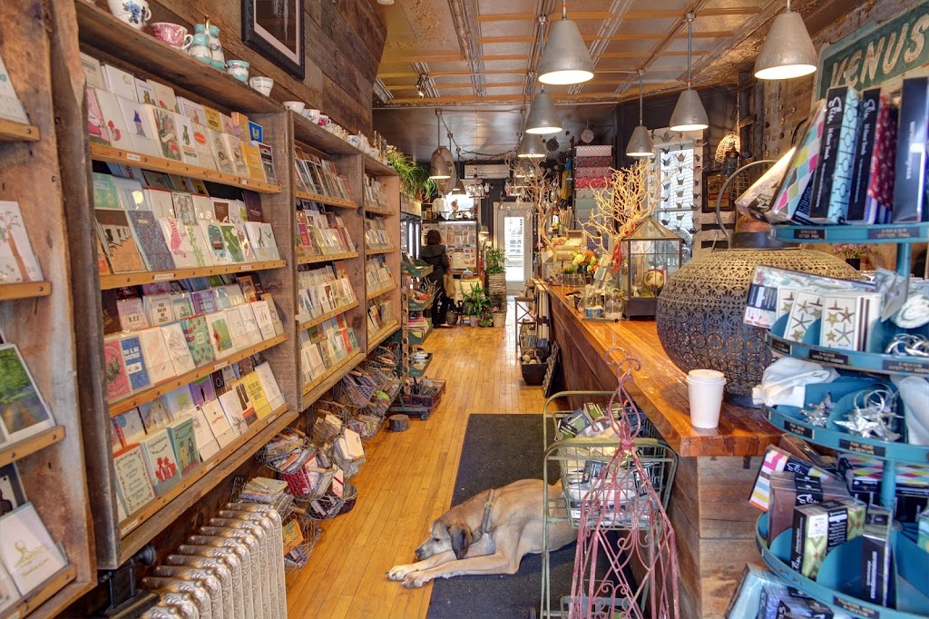 Avenue Flower | 294 Roncesvalles Ave Suite 2, Toronto, ON M6R 2M4, Canada | Phone: (416) 922-0348