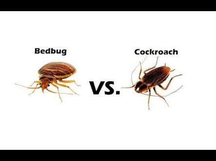 Prairie Pest Control Inc | 3808 Fairlight Dr #313, Saskatoon, SK S7M 5H1, Canada | Phone: (306) 850-9000