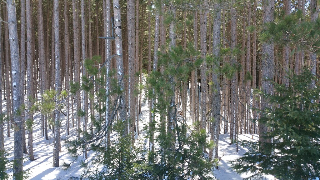 Conservation Lands | Loretto, ON L0G 1L0, Canada | Phone: (416) 661-6600