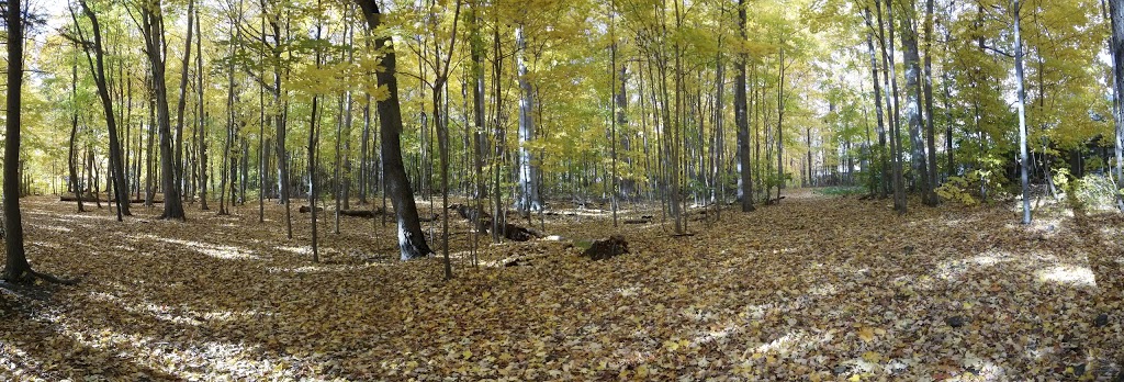 Deekshill Park | 2 Piperbrook Crescent, Scarborough, ON M1E 5G9, Canada