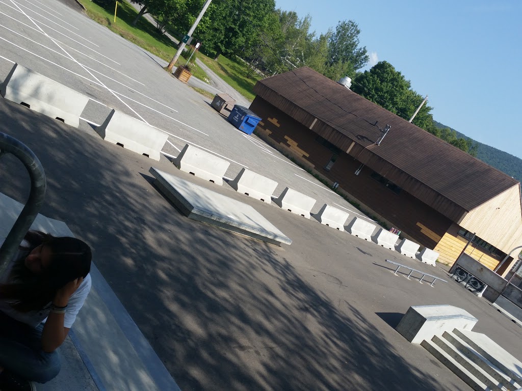 Parc De La Patinoire | 8 Rue de la Patinoire, Sainte-Brigitte-de-Laval, QC G0A 3K0, Canada