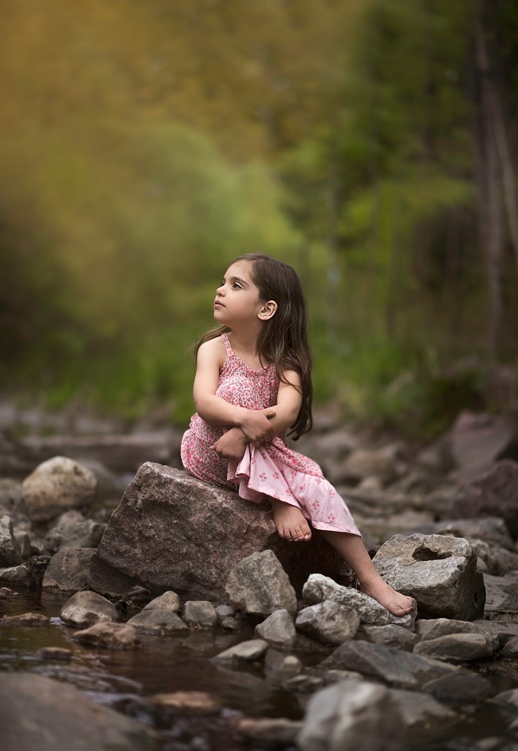 Allys Photography | 15 Ennerdale Rd, Toronto, ON M6E 4C2, Canada | Phone: (647) 787-6044