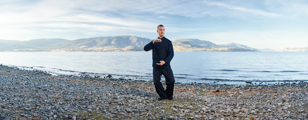 Falko Kriel, R.TCMP Acupuncture and Healing Arts | 1708 Dolphin Ave #200, Kelowna, BC V1Y 9S4, Canada | Phone: (250) 317-7260