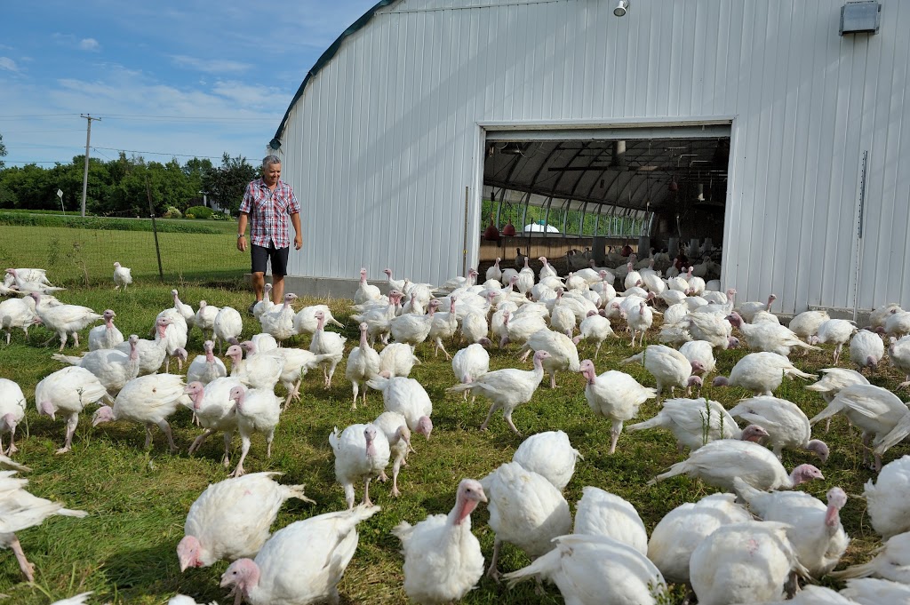 Volailles DAngèle inc. (Les) | 36 Rang de la Rivière S, Saint-Esprit, QC J0K 2L0, Canada | Phone: (450) 839-2499