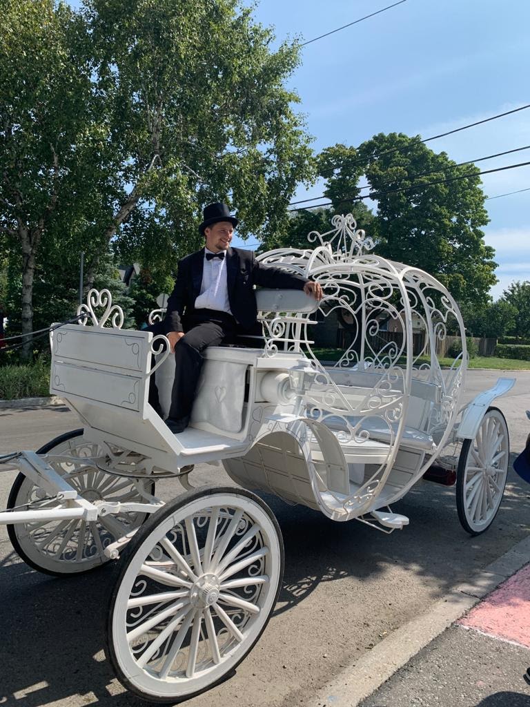 Fairytale Horse and Carriage | 473262 Dufferin County Road 11, Laurel, ON L0N 1L0, Canada | Phone: (416) 737-2860