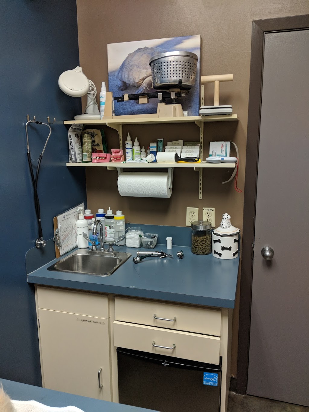 WinRose Animal Hospital | 534 St Annes Rd, Winnipeg, MB R2M 3G1, Canada | Phone: (204) 254-3150