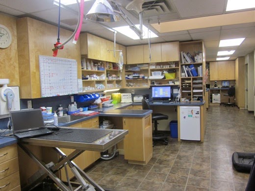 Aldergrove Animal Hospital Ltd | 26841 Fraser Hwy, Aldergrove, BC V4W 3E4, Canada | Phone: (604) 856-7707
