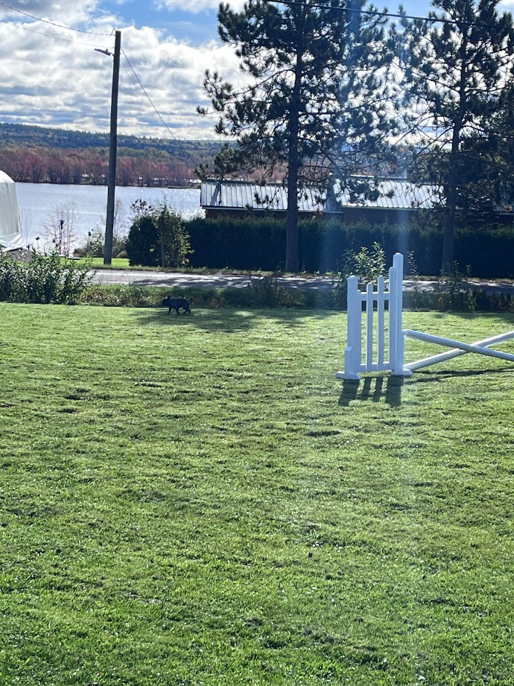 CorLie Equine Adventures and Events | 250 Route 715, Coles Island, NB E4C 2T4, Canada | Phone: (506) 512-1216