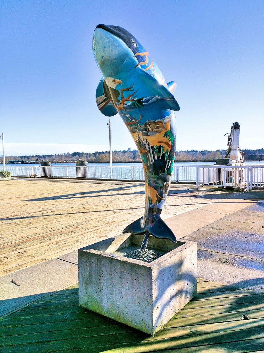 Fraser River Discovery Centre | 788 Quayside Dr, New Westminster, BC V3M 6Z6, Canada | Phone: (604) 521-8401