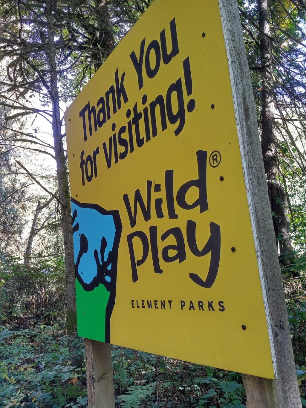 WildPlay Element Parks Maple Ridge | 23485 Fern Crescent, Maple Ridge, BC V4R 2S6, Canada | Phone: (855) 595-2251