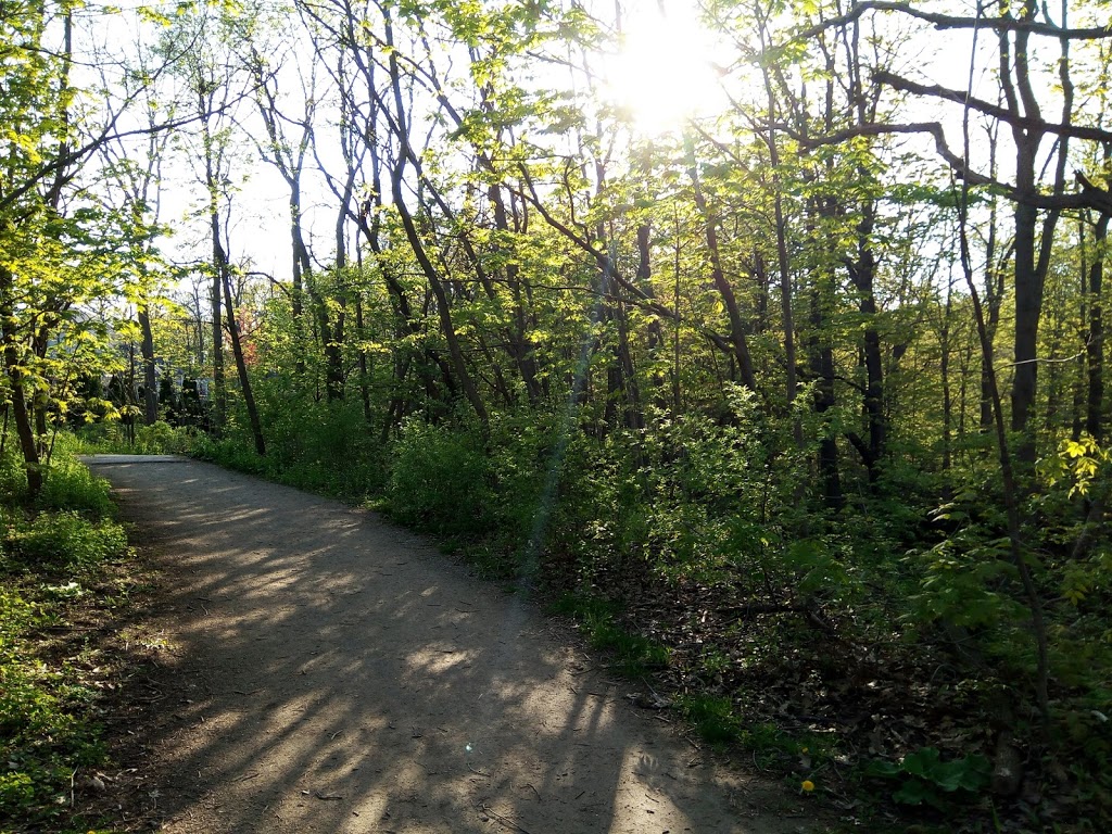 Sixteen Hollow Park | 2140 Westoak Trails Blvd, Oakville, ON L6M 3K5, Canada