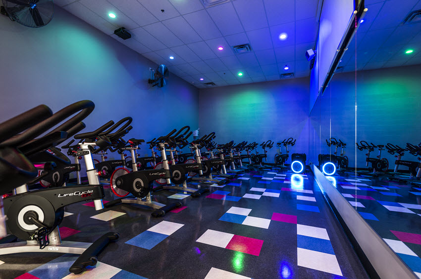 Full Force Fitness Club | 4120 101 St NW, Edmonton, AB T6E 0A5, Canada | Phone: (780) 433-3947