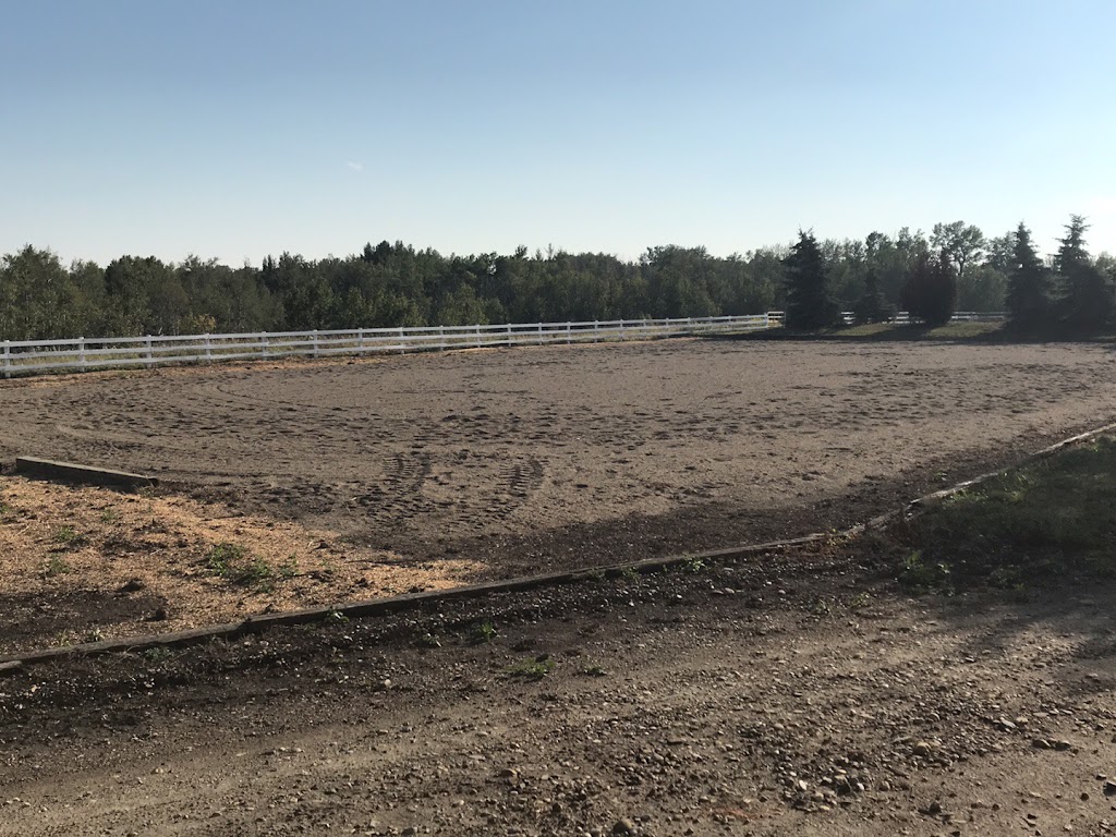 Summit Equestrian | 2007 7 Ave, Didsbury, AB T0M 0W0, Canada | Phone: (403) 350-5605