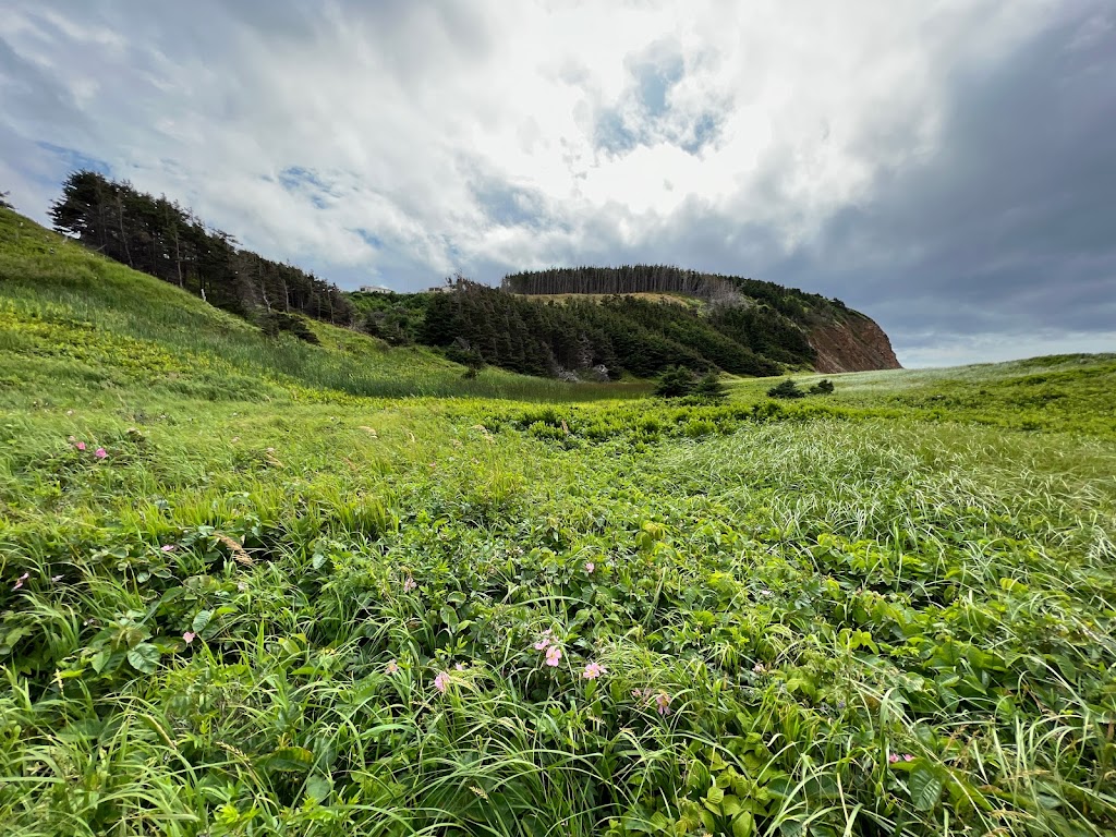 MacLeods Beach & Campsite | 1485 Broad Cove Marsh Rd, Inverness, NS B0E 1N0, Canada | Phone: (902) 258-2433