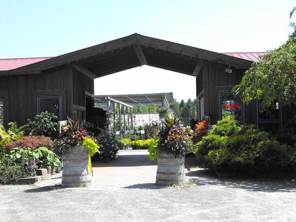 Pioneer Nursery | 632 Van Buren St, Kemptville, ON K0G 1J0, Canada | Phone: (613) 258-5555