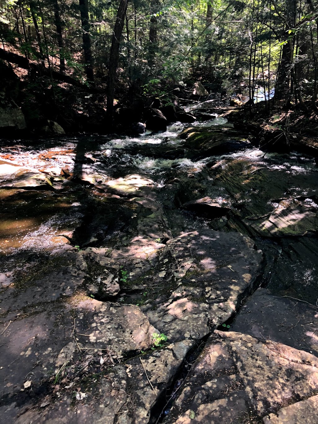 Algonquin Highlands Trails | 1123 North Shore Rd, Algonquin Highlands, ON K0M 1J1, Canada | Phone: (705) 766-9033