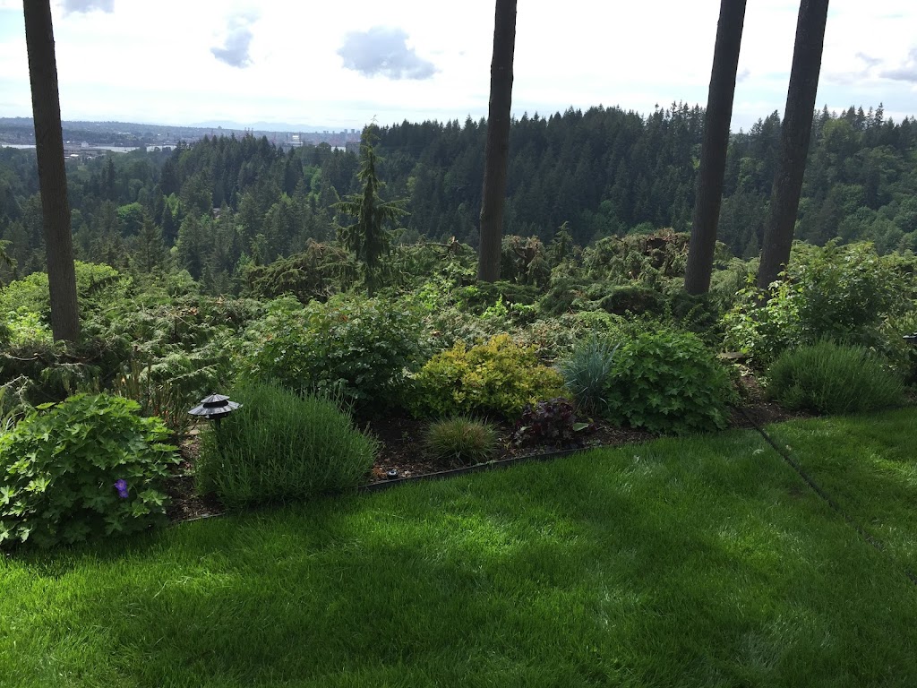Trapp Arborist Services | 7321 Halifax St #1106, Burnaby, BC V5A 4R5, Canada | Phone: (604) 700-9030