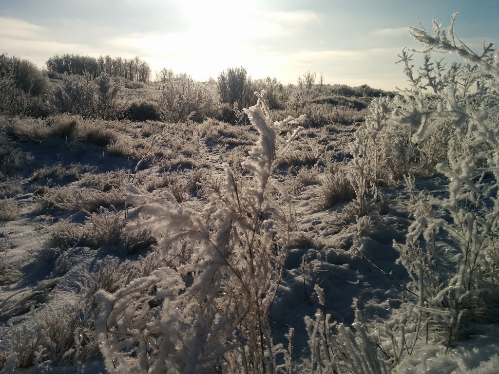 Peturrsons Ravine | Saskatoon, SK S7N 2G7, Canada