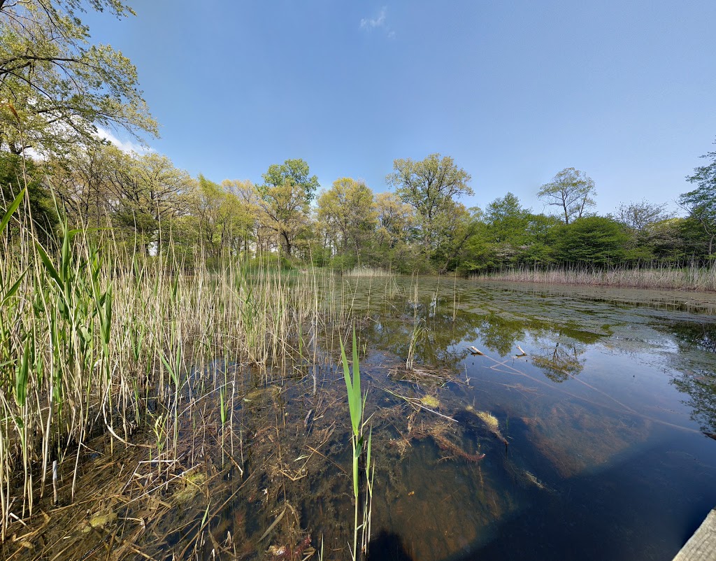 Ojibway Prairie Provincial Nature Reserve | 5200 Matchette Rd, Windsor, ON N9C 4E8, Canada | Phone: (519) 966-5852